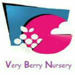 Nursery logo Very Berry Nursery